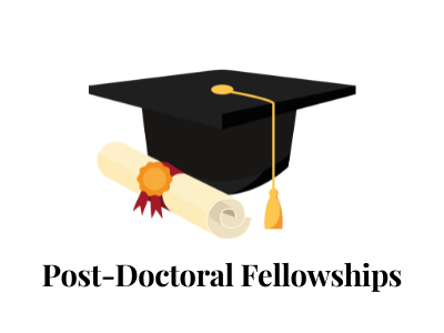 Centre-for-Molecular-Biology-Research-Guidance-for-Post-Doctoral-Fellowships